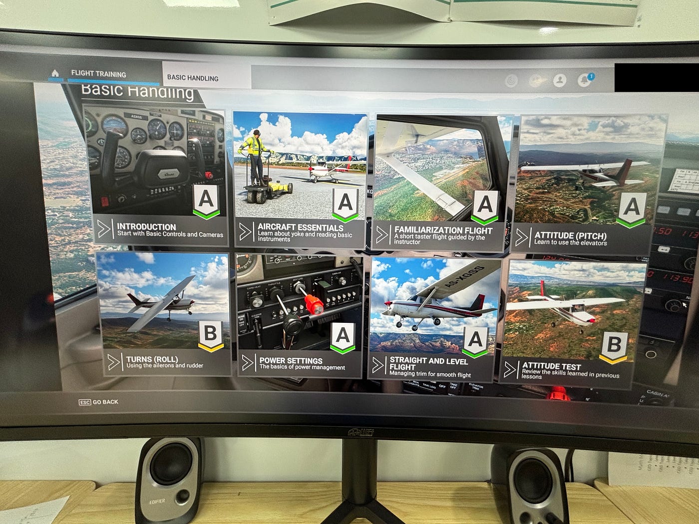 Microsoft Flight Simulator