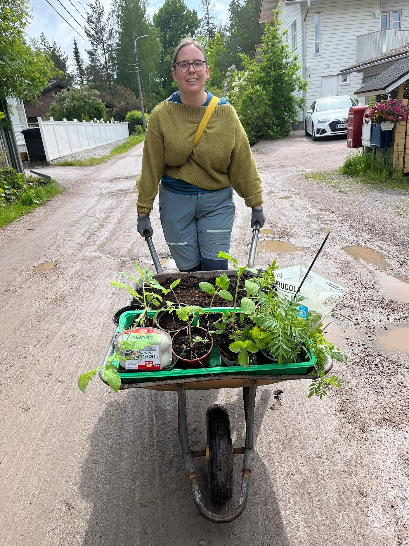 Ensimmäisenä vuotena kärräsimme käsin yhteisöviljelmän materiaalit puistoon.