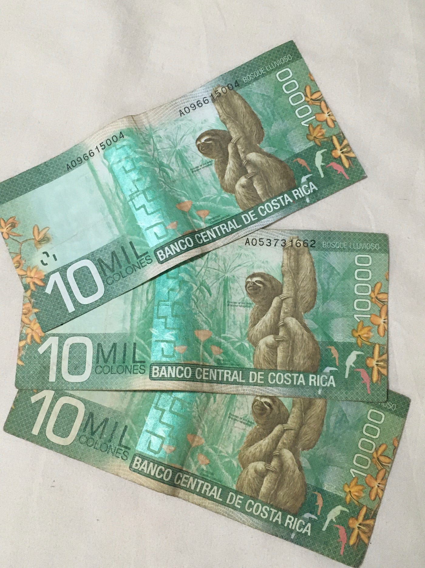 長途旅行怎麼準備－金錢篇(上). 長途旅行該怎麼準備金錢？現金+信用卡+金融卡，親身體驗和實作中。 | by 澤Chengtse | Medium