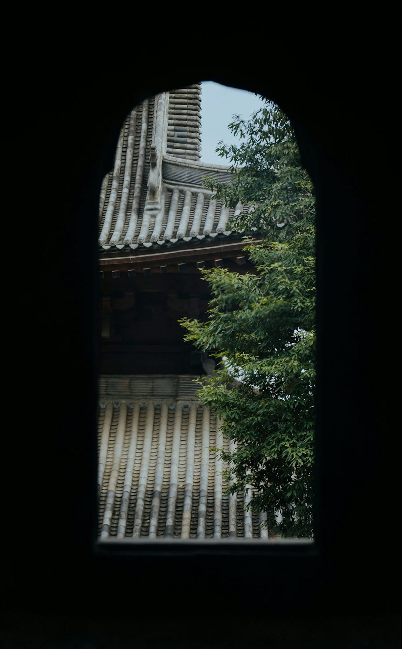 Photo by 1AmFcS on Unsplash