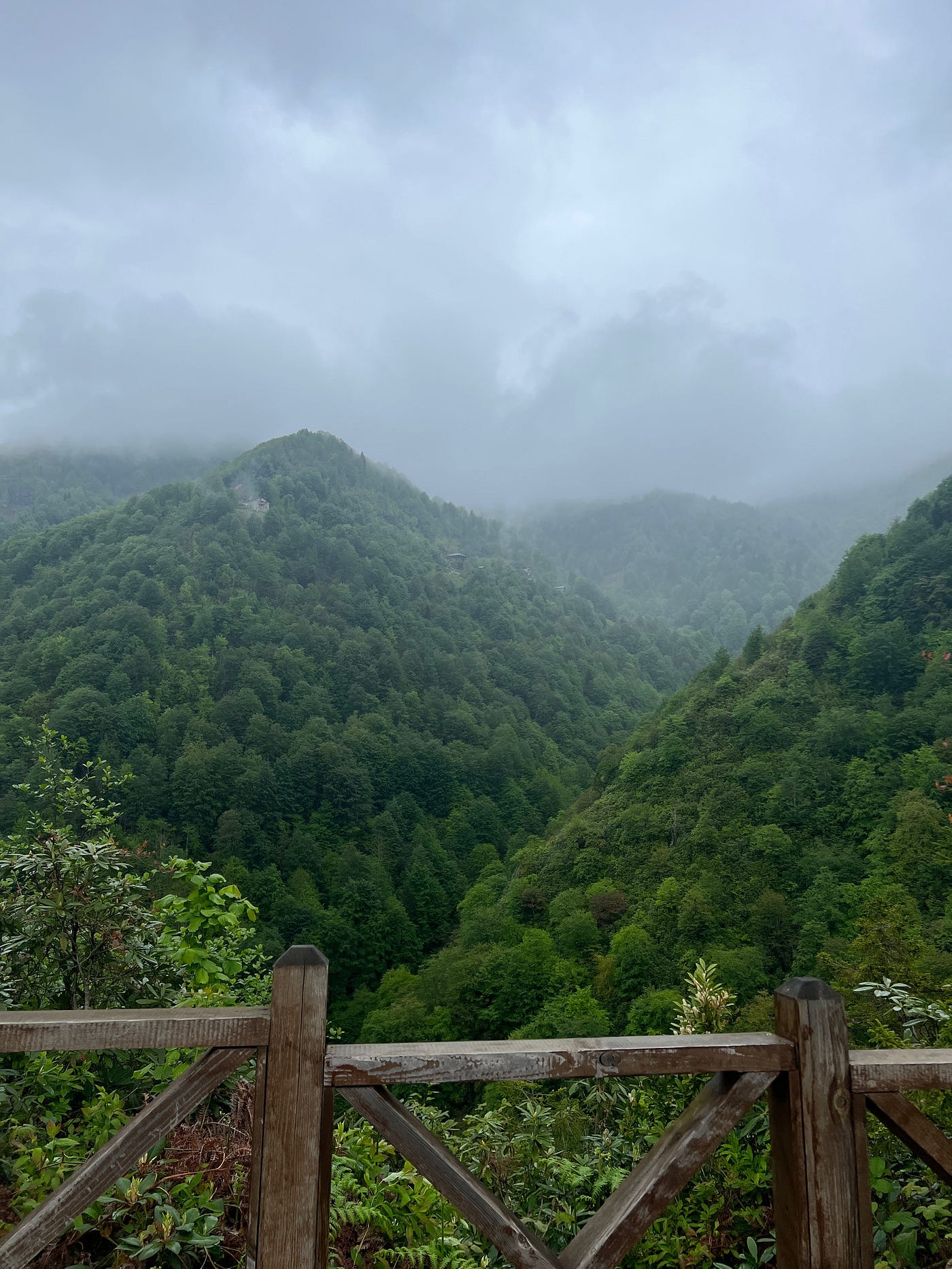 The Black Sea: Where Even the Rain Is Not Sad, Just Deep