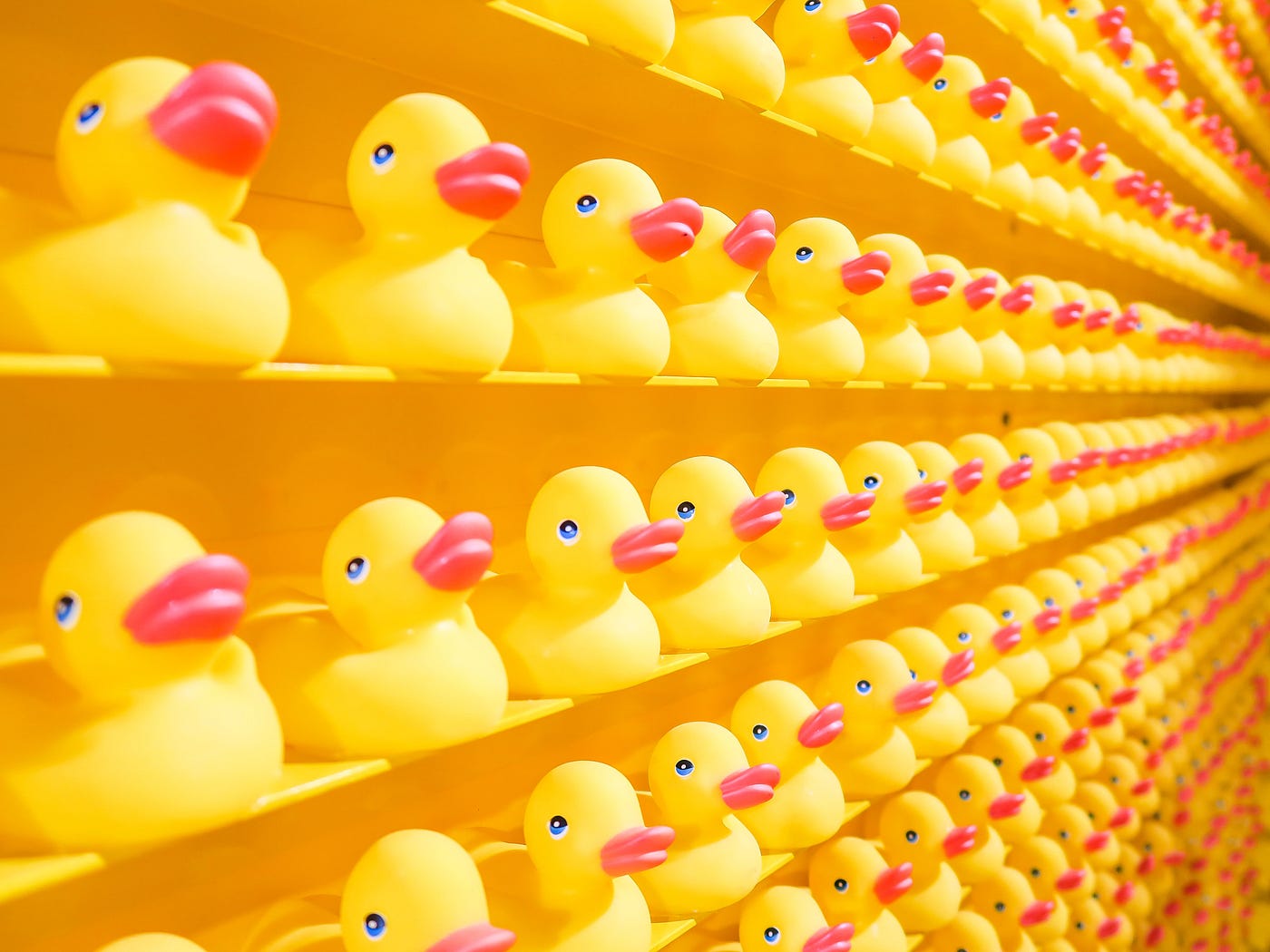 Why You Should Adopt a Rubber Ducky, by Karen McClellan
