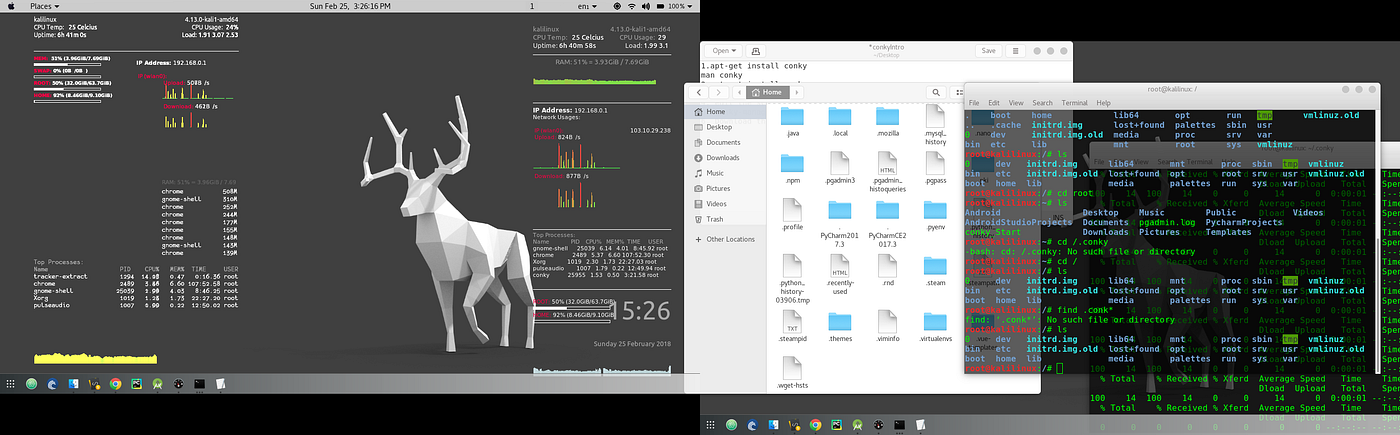Conky Configuration in Linux Machine