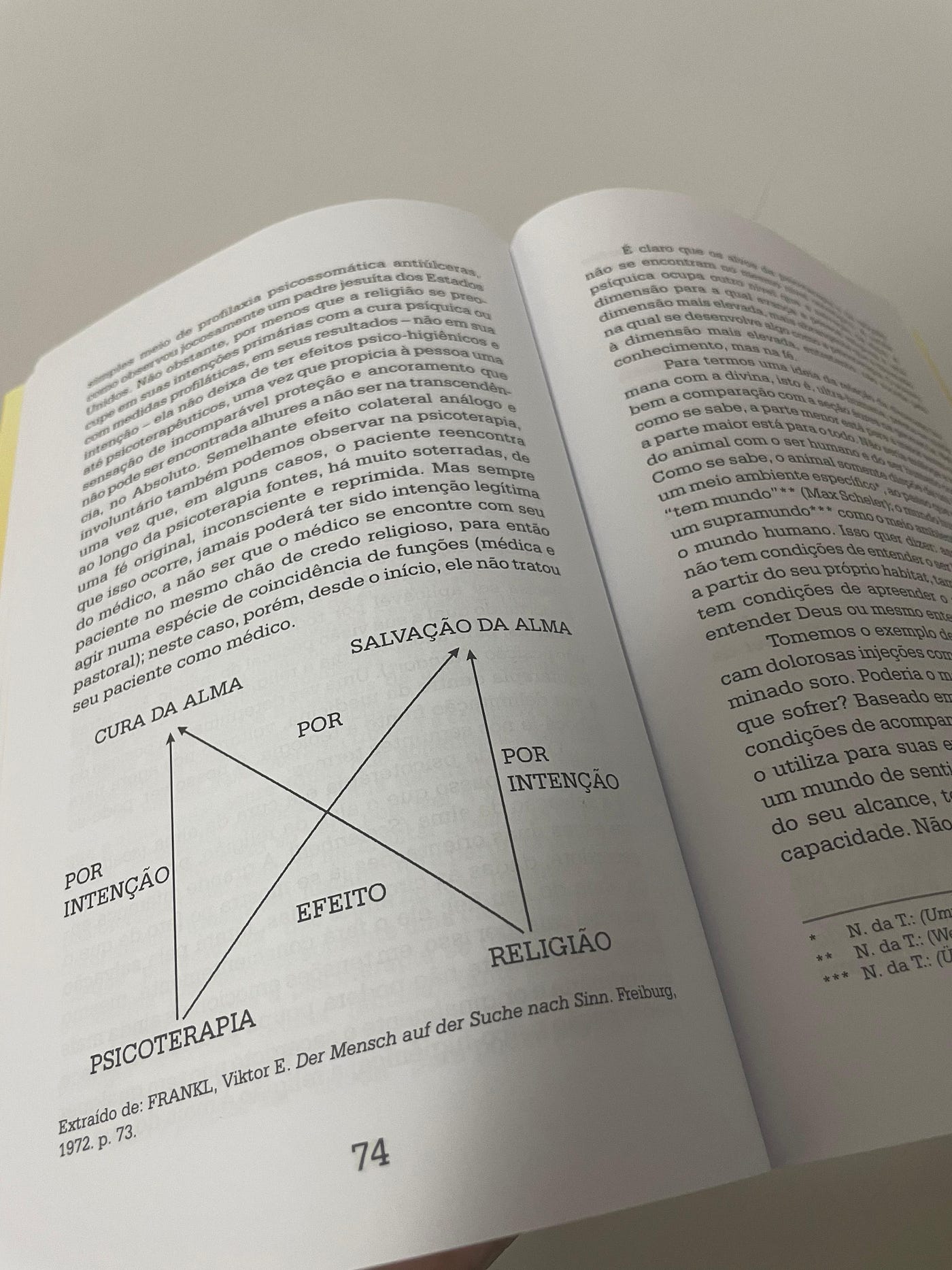 A Espiritualidade e a Saúde Mental Segundo Viktor E. Frankl