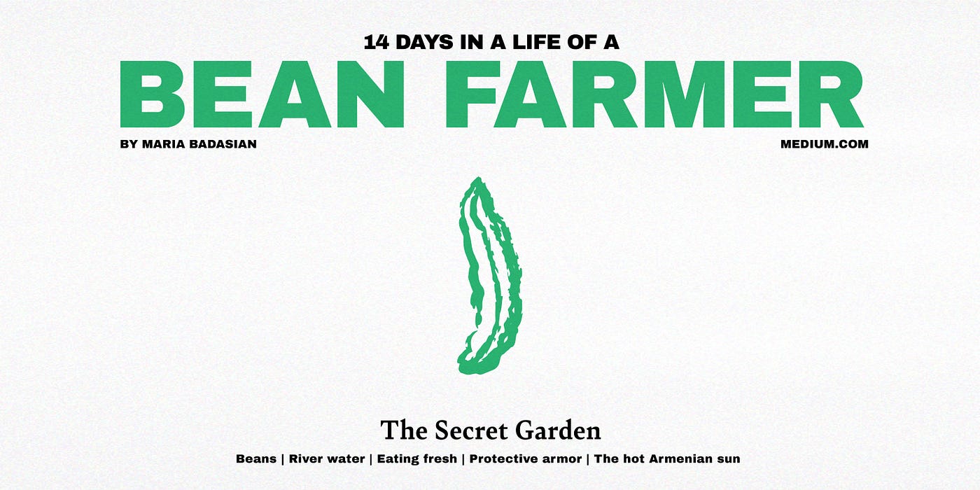 14 Days in a Life of a Bean Farmer: The Secret Garden, by Maria Badasian