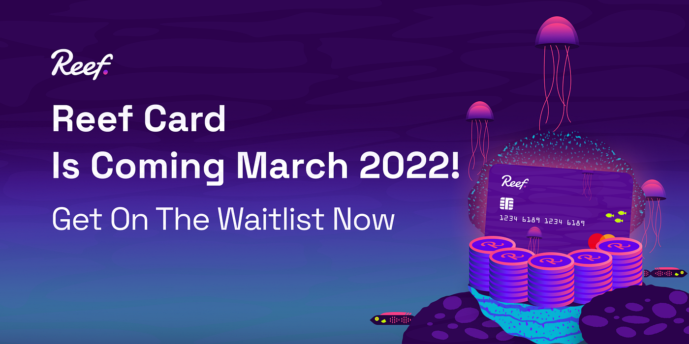Reef Card is coming June 2022! UPDATED | by Derek E. Silva | Reef | Medium