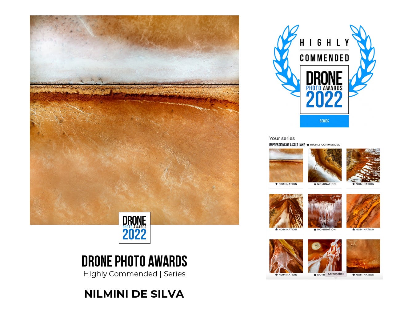 Celebrating the 2022 Sienna Drone Awards | by Nilmini De Silva | Eco-living  Journeys | Medium