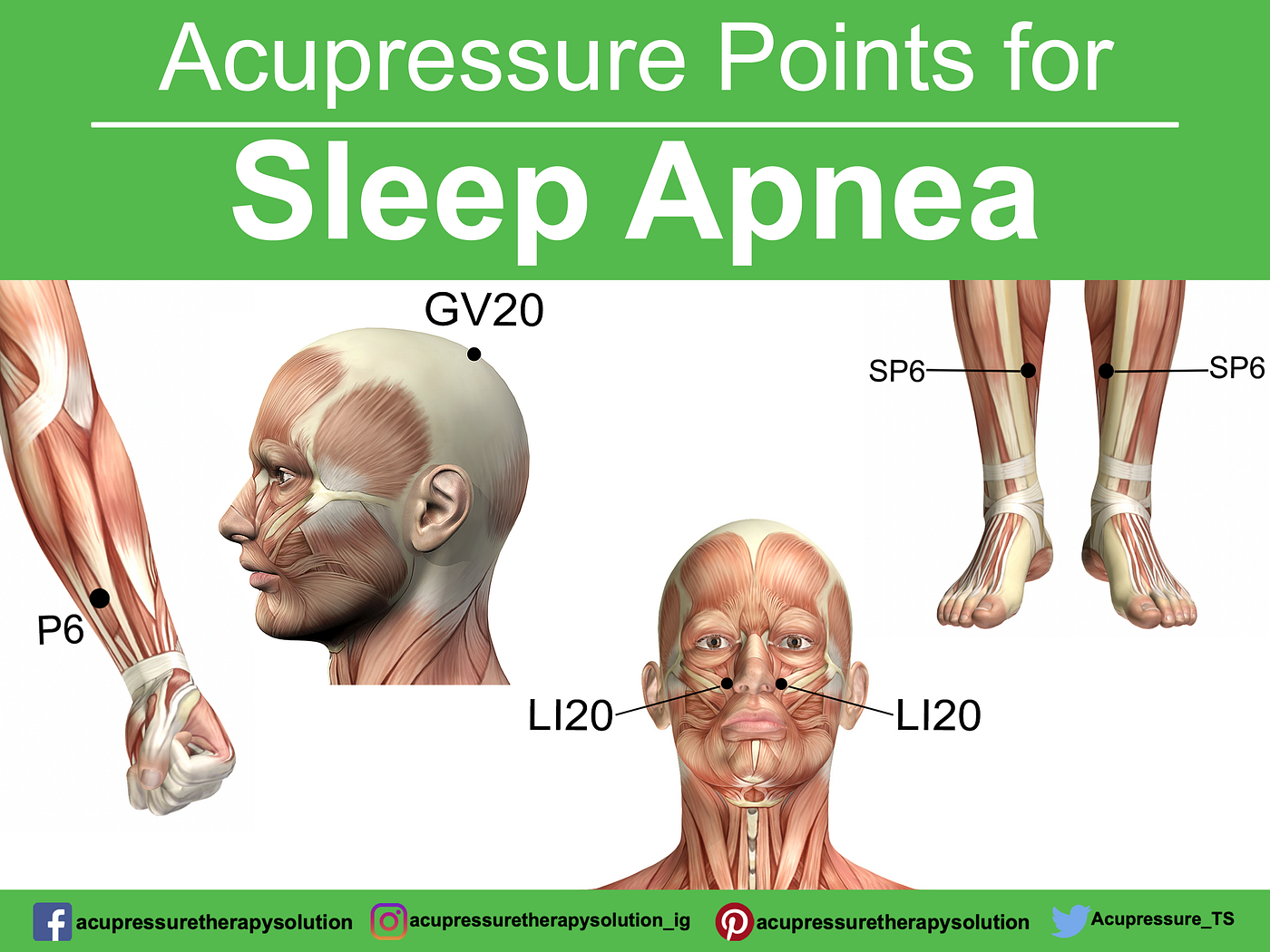 😴 Breathe Easier at Night: A Holistic Guide to Acupressure for Sleep Apnea Support