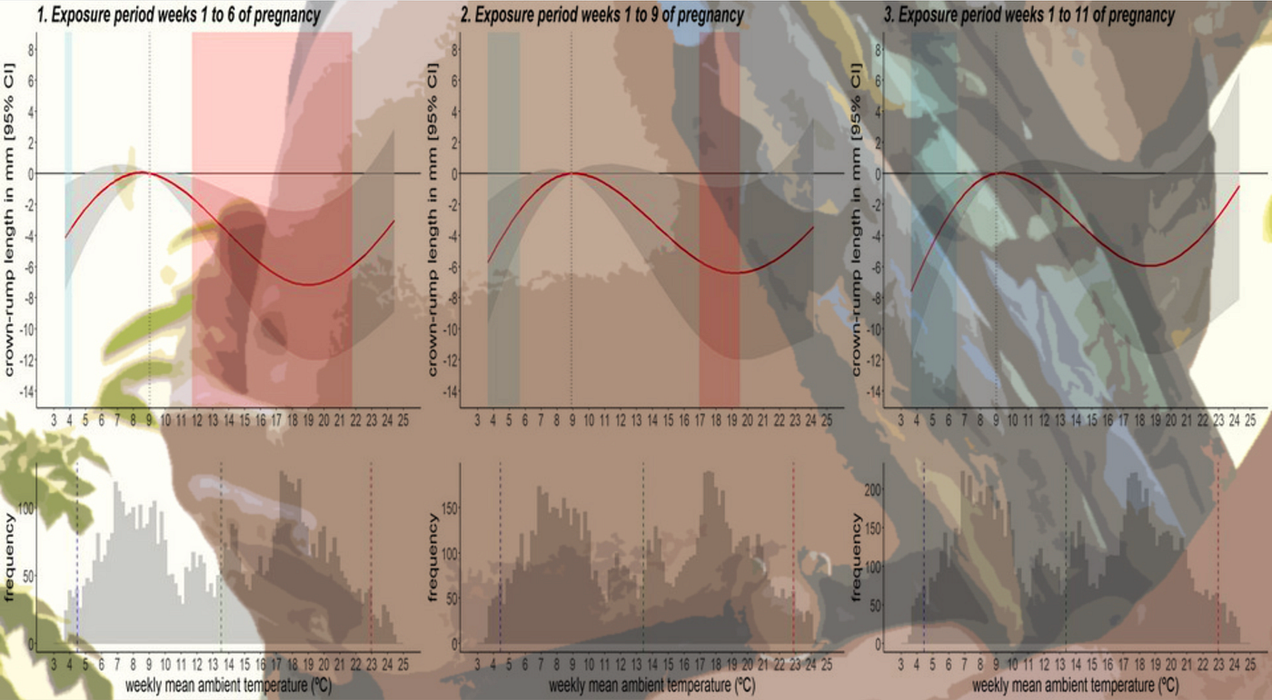 Low and High Air Temperatures in Early Pregnancy Linked to Slower Fetal Growth