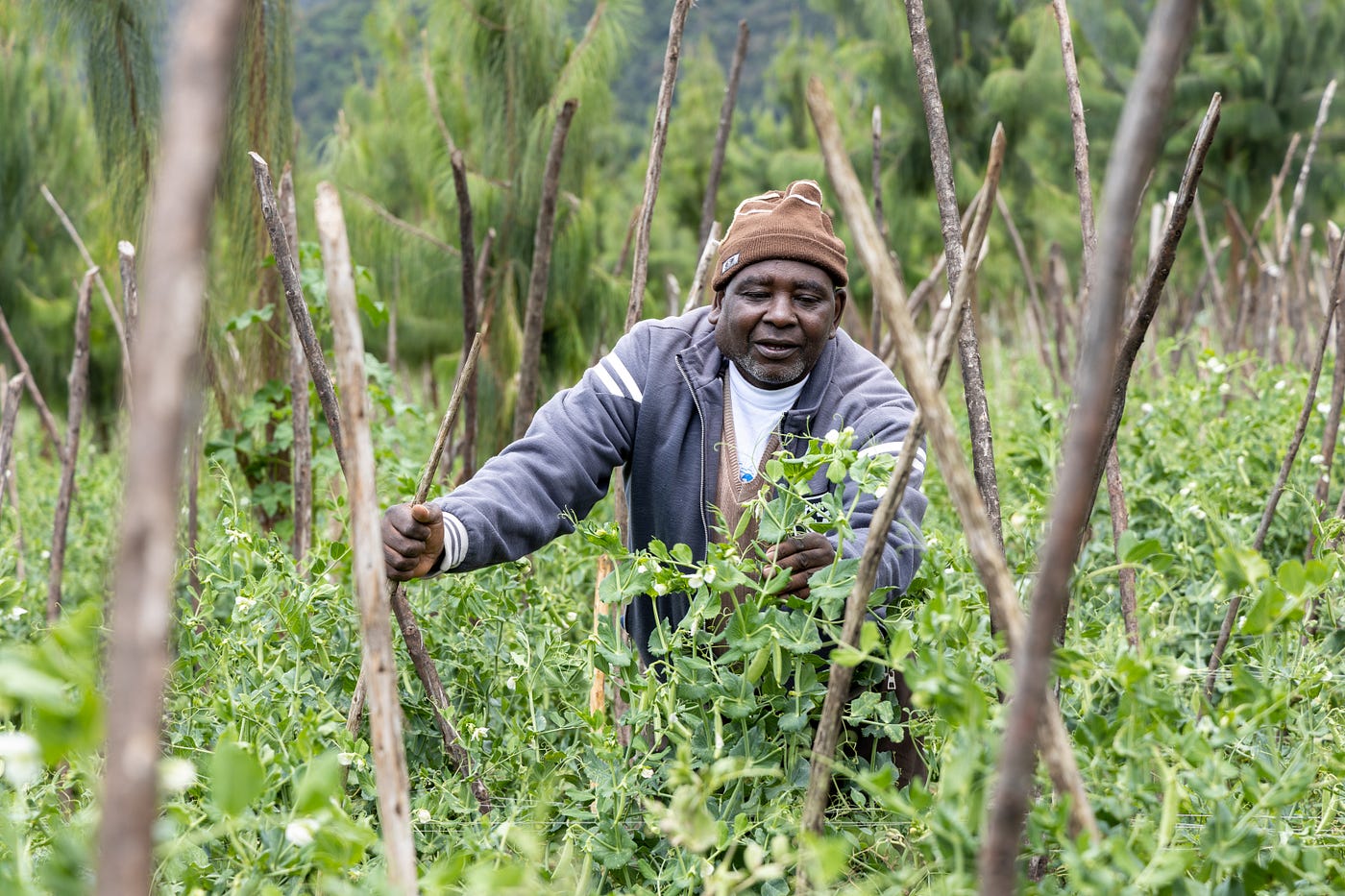All of us now recognize the value of our forest, says Geta farmers’ group chairperson
