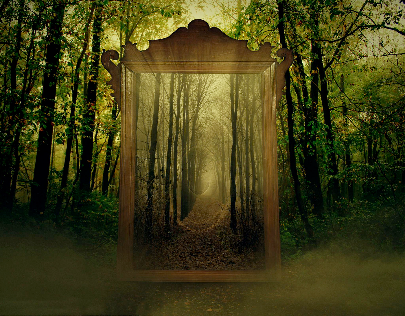 The Auteur’s Portal: Beyond the literal map lies the particular way of seeing that defines enduring fantasy.