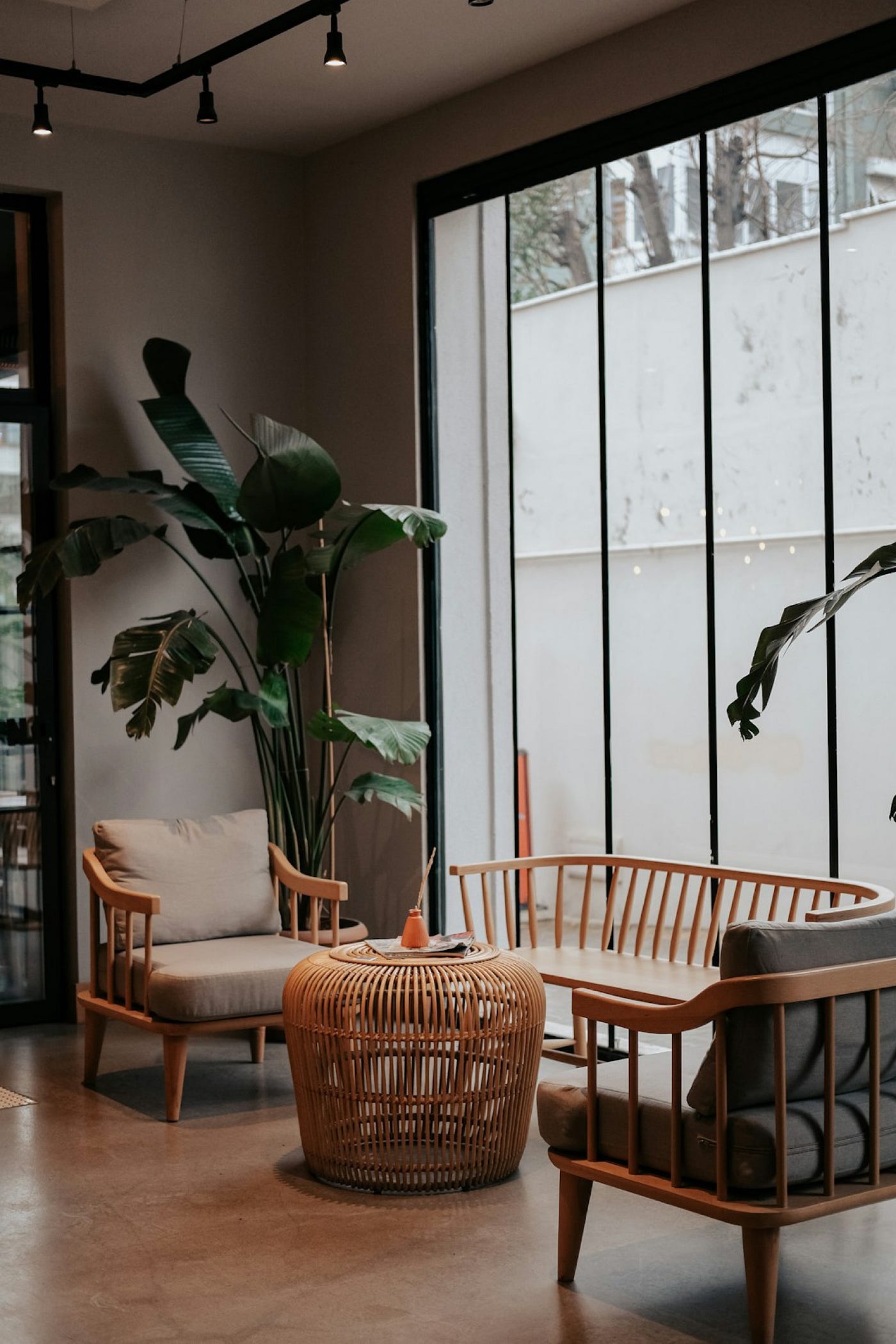 Photo by Esra Afşar on Unsplash