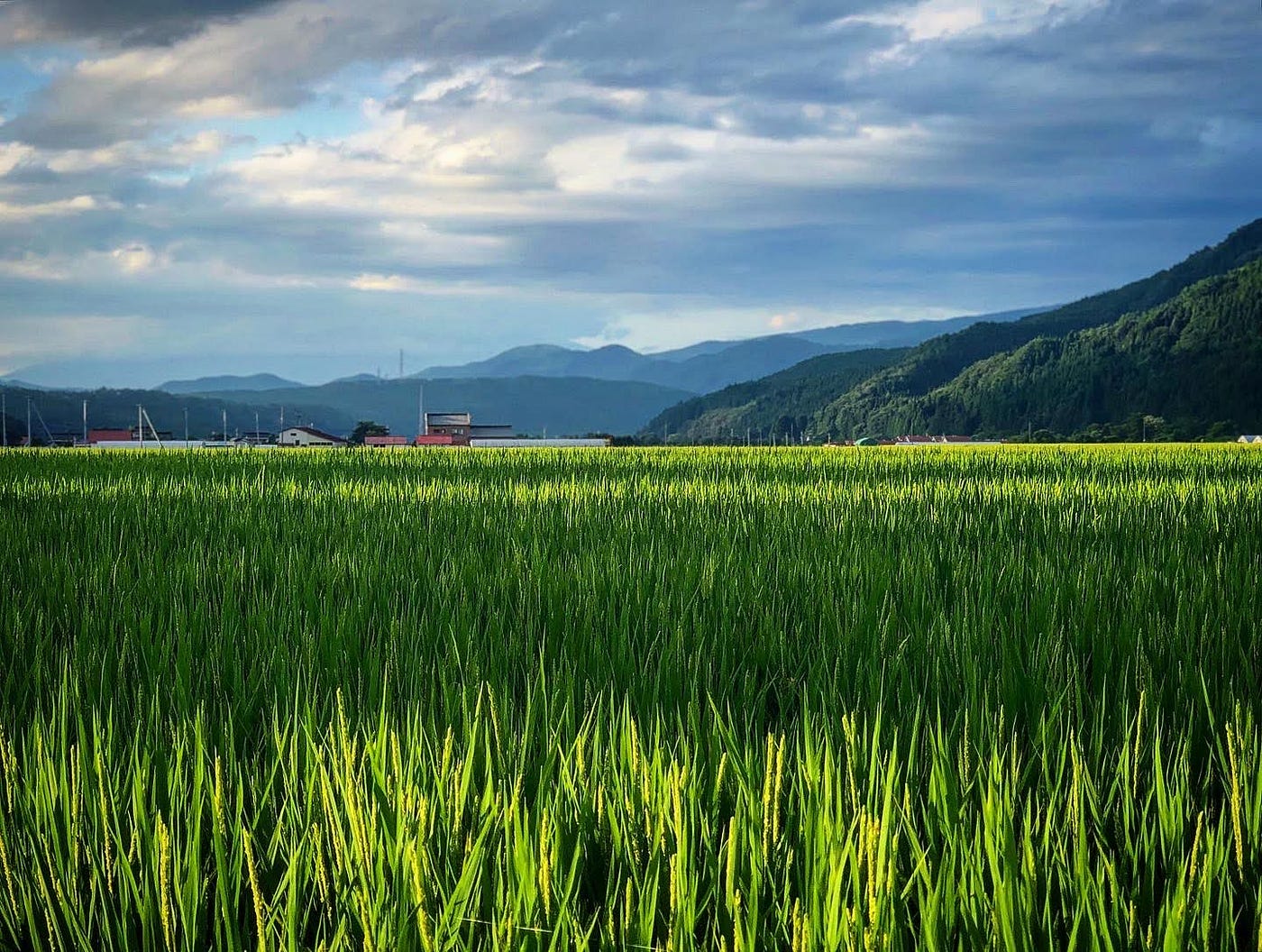The Hidden Side of Haguro: Haguro Kodo | Mt. Haguro |Kiwi