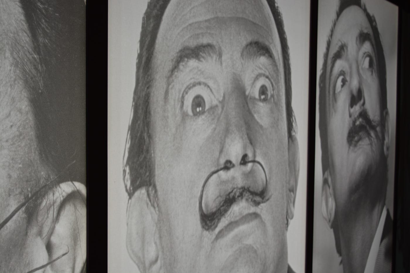 Een waanzinnige droom van Dalí