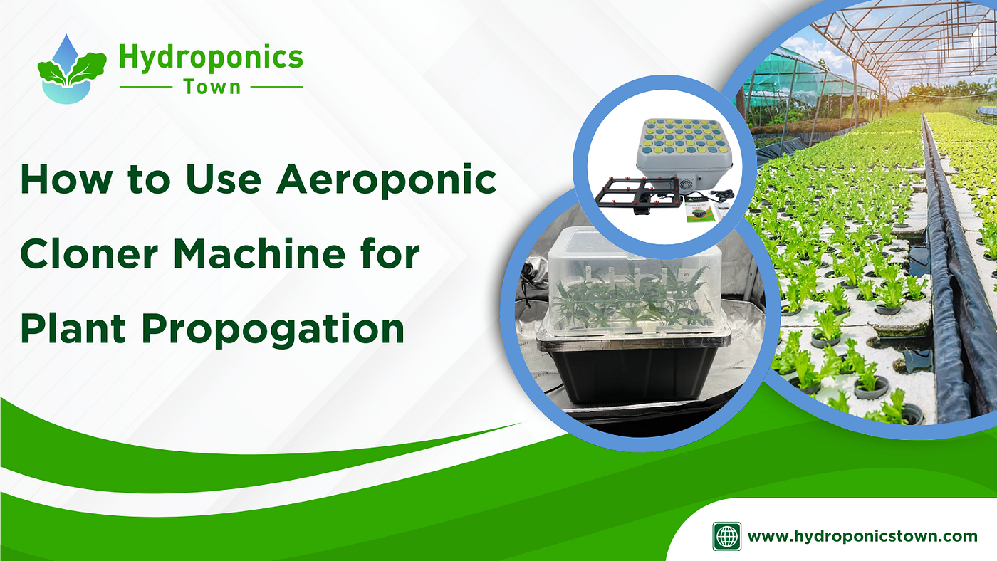How to Use Aeroponic Cloner Machine for Plant Propagation.