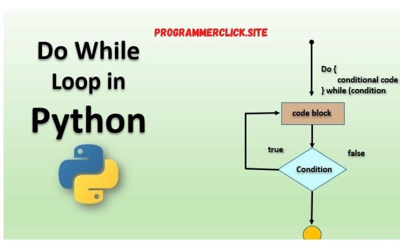 Ввод в цикле python