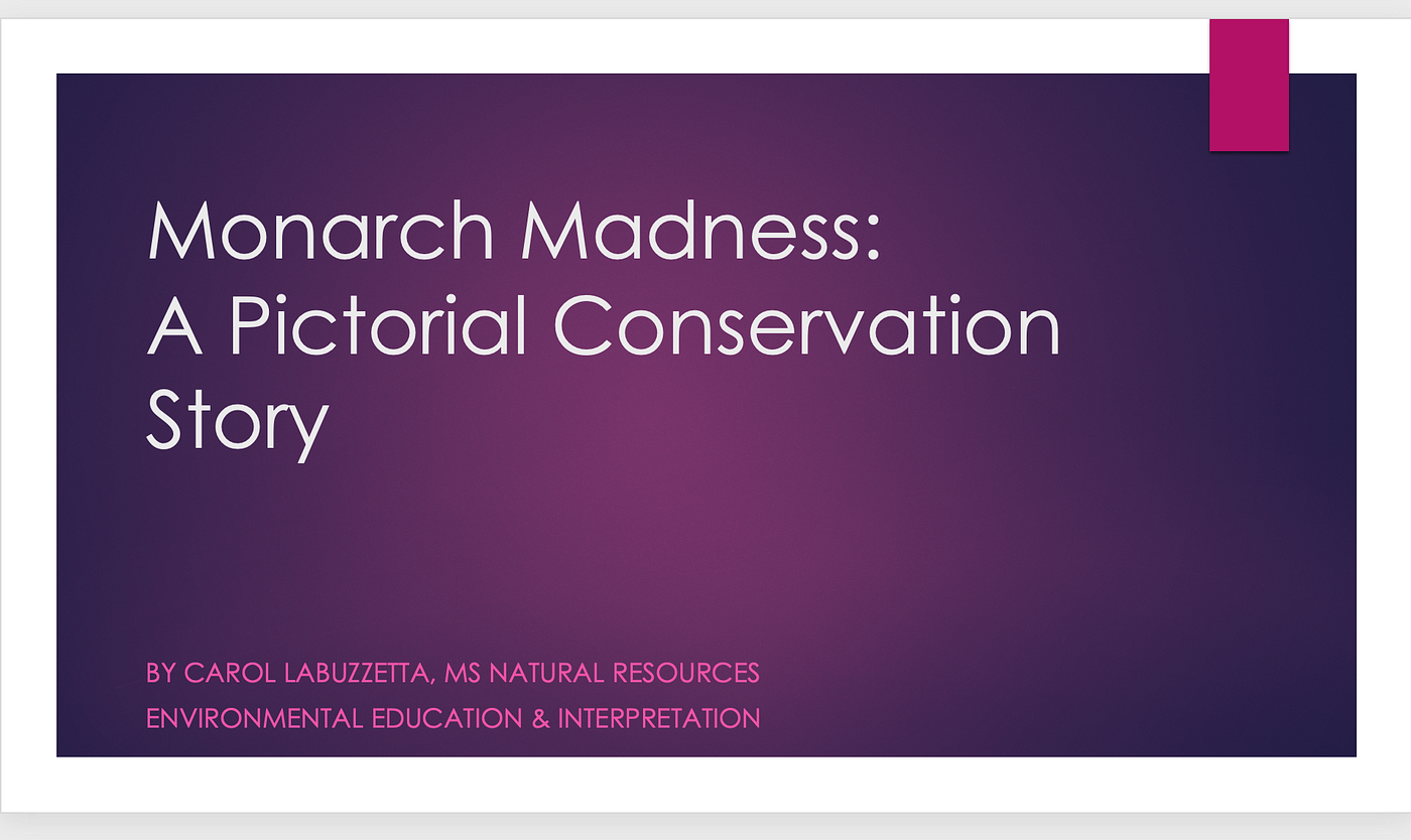 Screen shot of presentation title slide by author, Carol Labuzzetta.