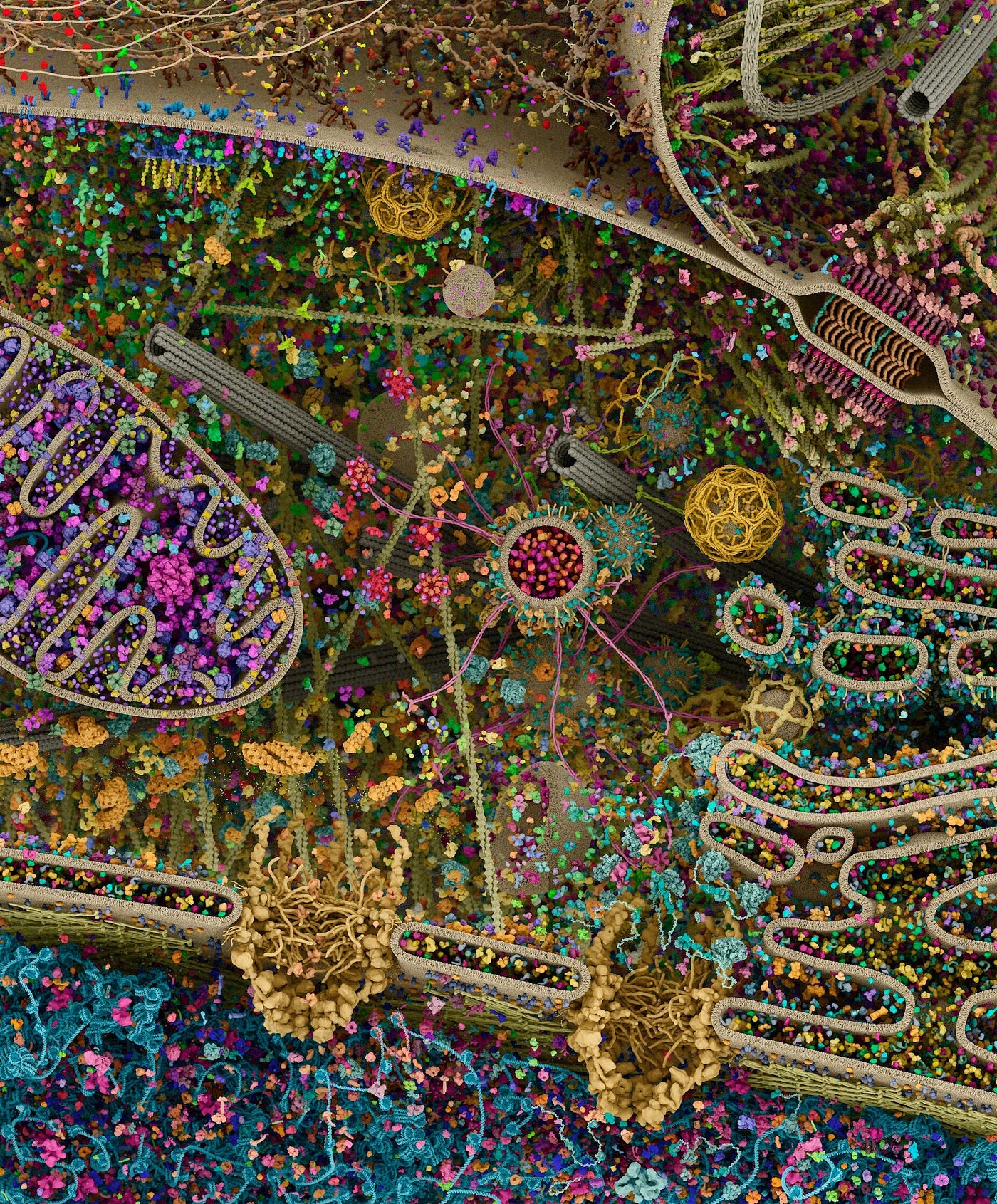 What’s New in Biology: Viral Elements and Embryonic Development