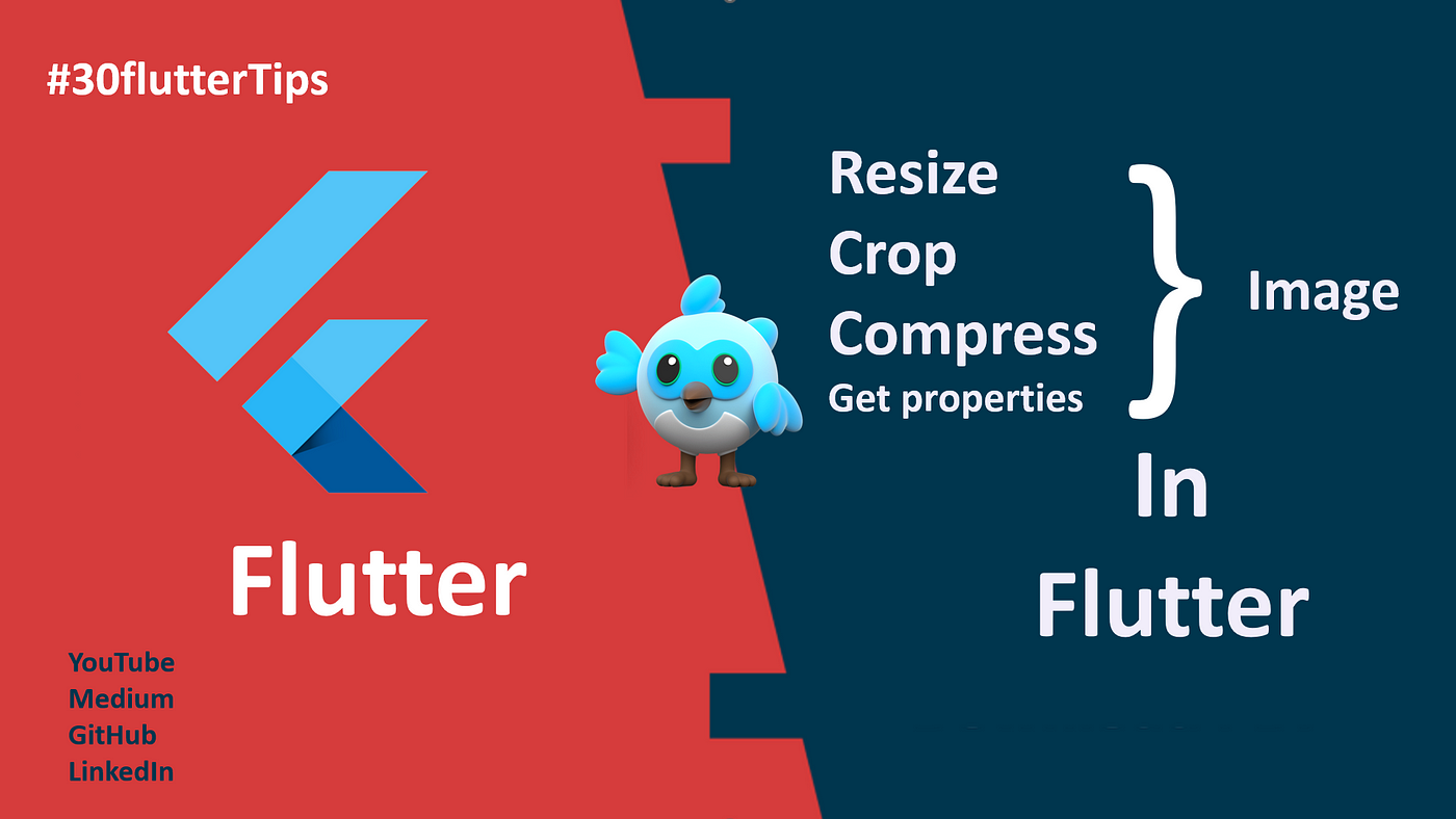 30 Flutter Tips| FT14: Resize, Crop & Compress Image In Flutter | by  Lakshydeep Vikram | Medium