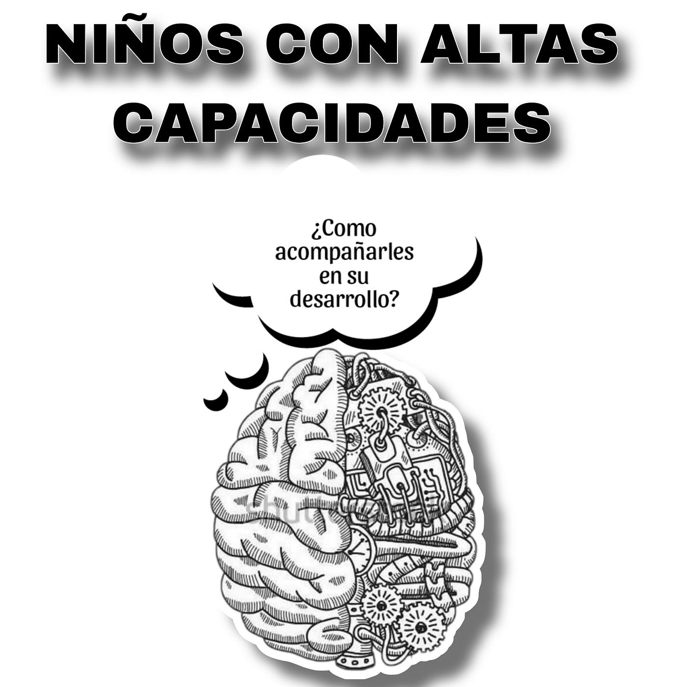 Niños con altas capacidades: ¿cómo acompañarlos en su desarrollo?