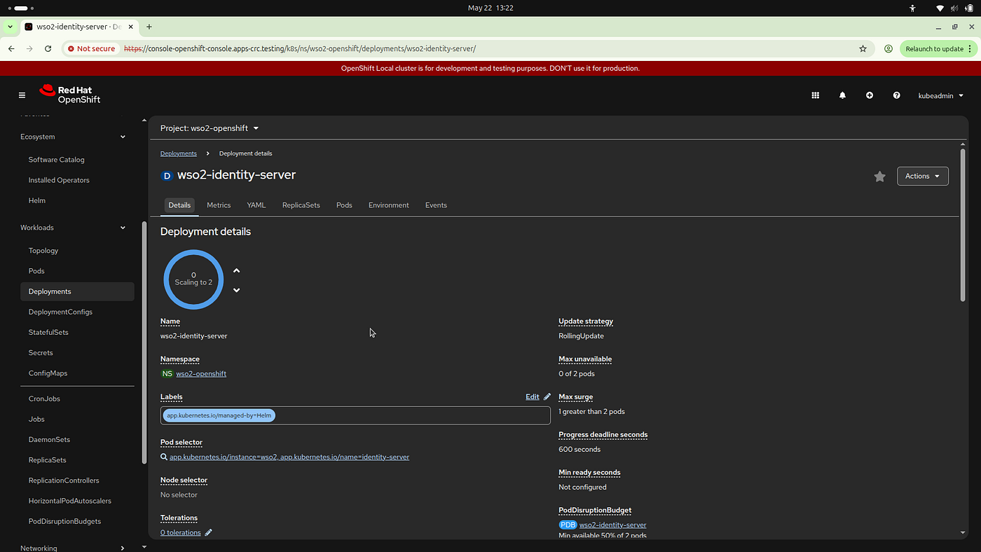Figure 6: Scaling replicas and monitoring rollout progress within the deployment panel.