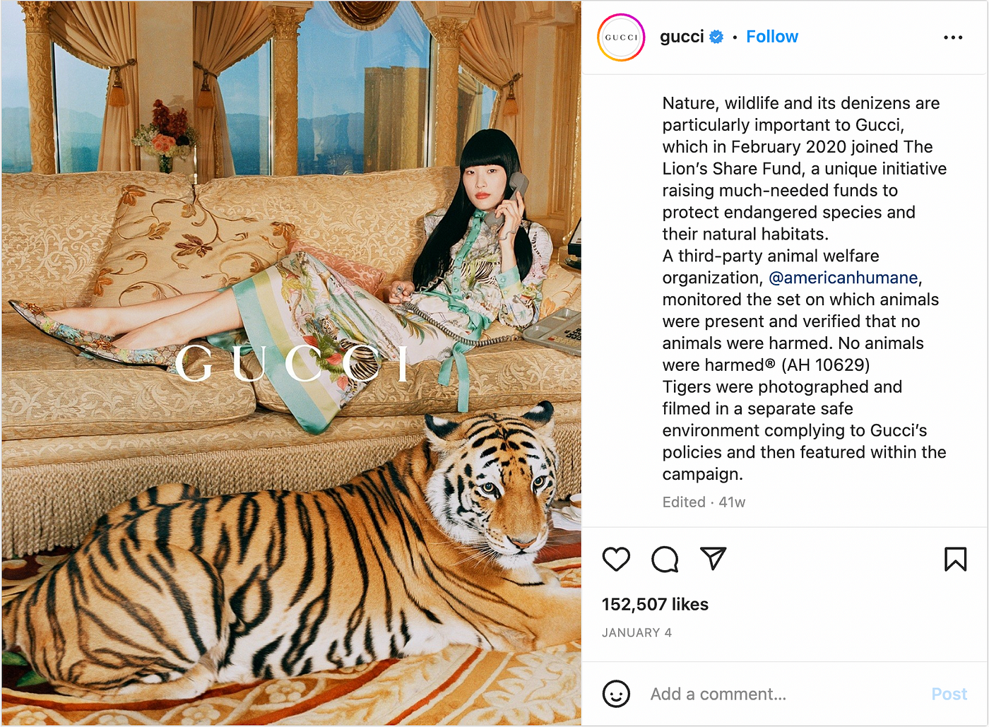 Gucci Criticized for the Use of Real Tigers in Year of the Tiger Campaign |  by Tina T | Marketing in the Age of Digital | Medium