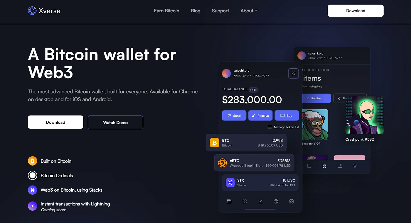 Your Ultimate Guide to Bitcoin Ordinals + Step-by-Step of How To Create  One! | by Henrique Centieiro | DataDrivenInvestor