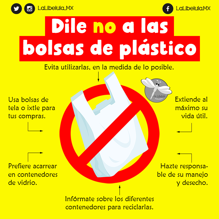 El sinsentido de usar bolsas de plástico para echar la basura: así puedes  evitarlo