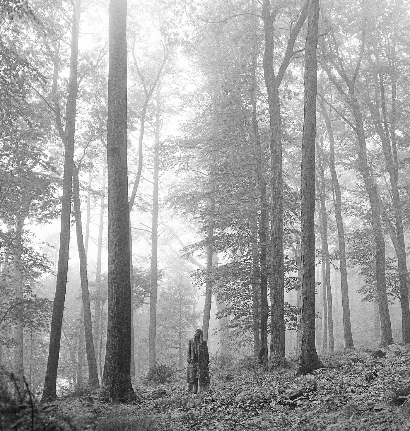 Album Cover “folklore”