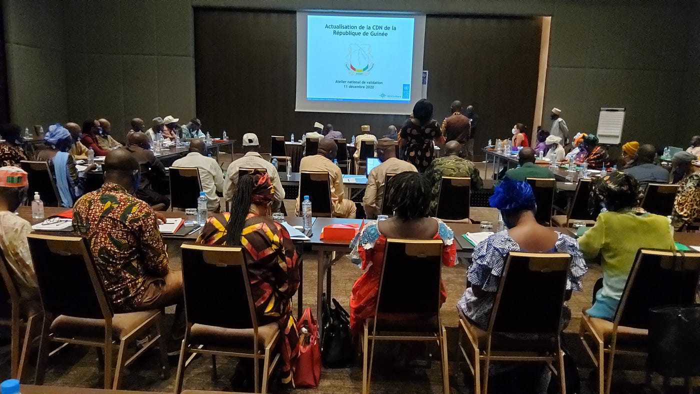 Lutte contre les changements climatiques : la Guinée actualise sa Contribution Déterminée au…