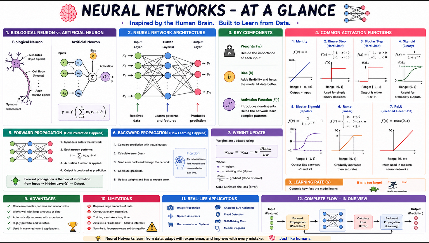 Understanding Neural Networks: How Machines Try to Mimic the Human Brain