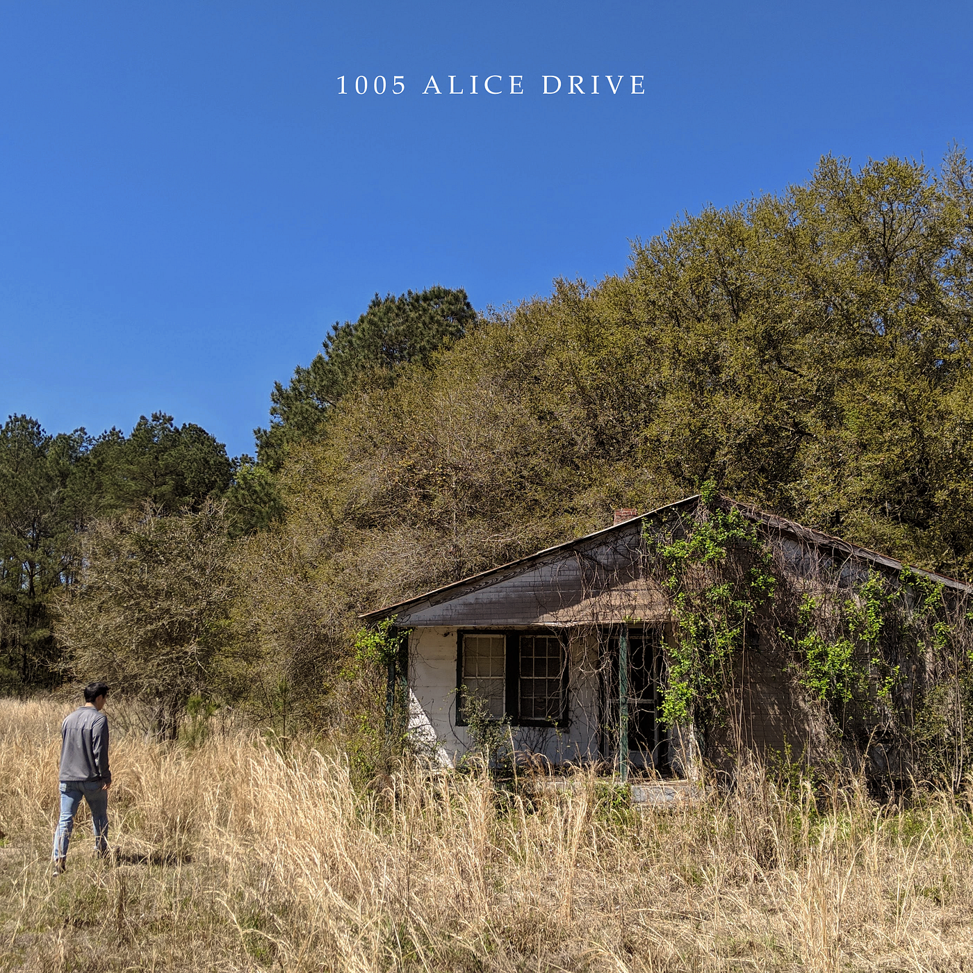 1005 alice drive