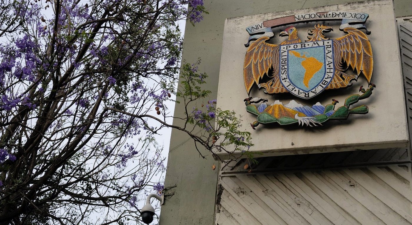 Jacarandas: de Brasil para Naucalpan, Estado de México