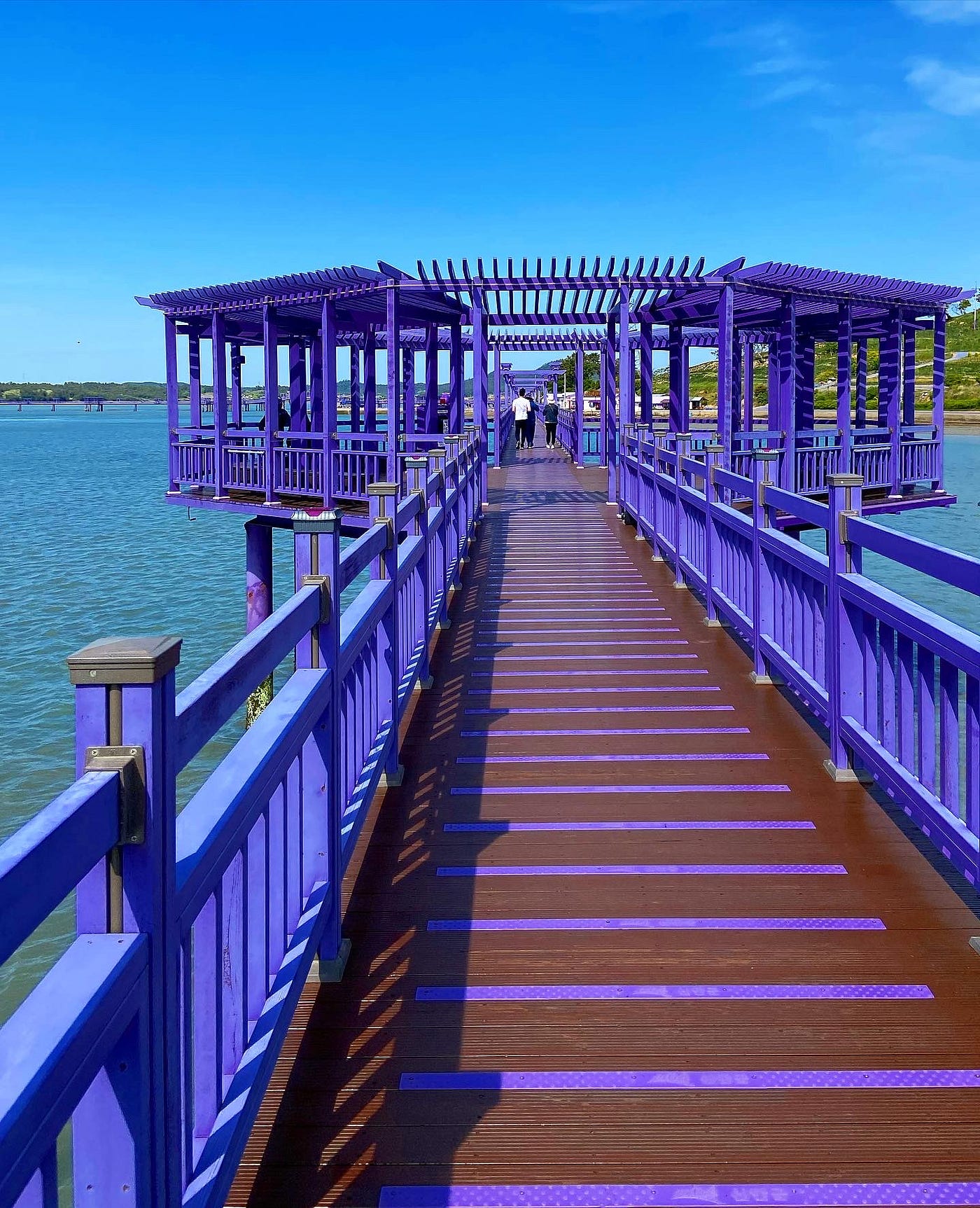 The Mystical Purple Island. “All of the other colours are just… | by The  Planet Compass | Medium