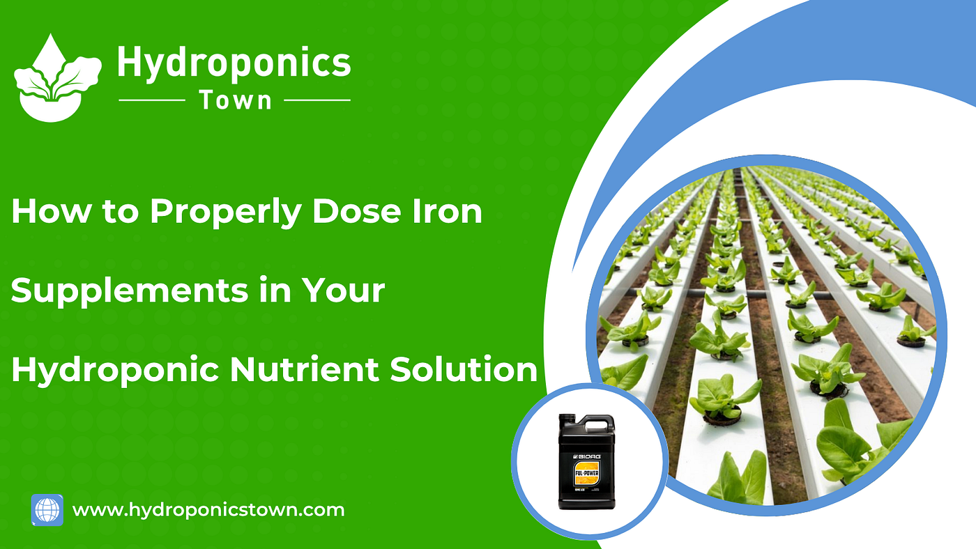 How to Properly Dose Iron Supplements in Your Hydroponic Nutrient Solution