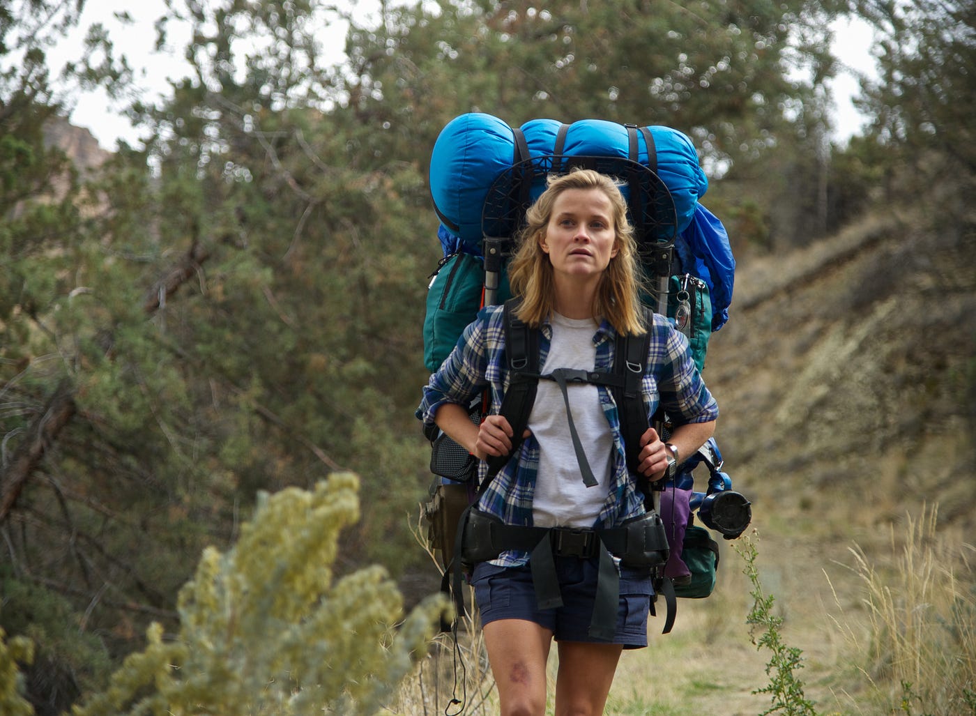 Reese Witherspoon hiking the Pacific Crest Trail in natural light film, Wild.