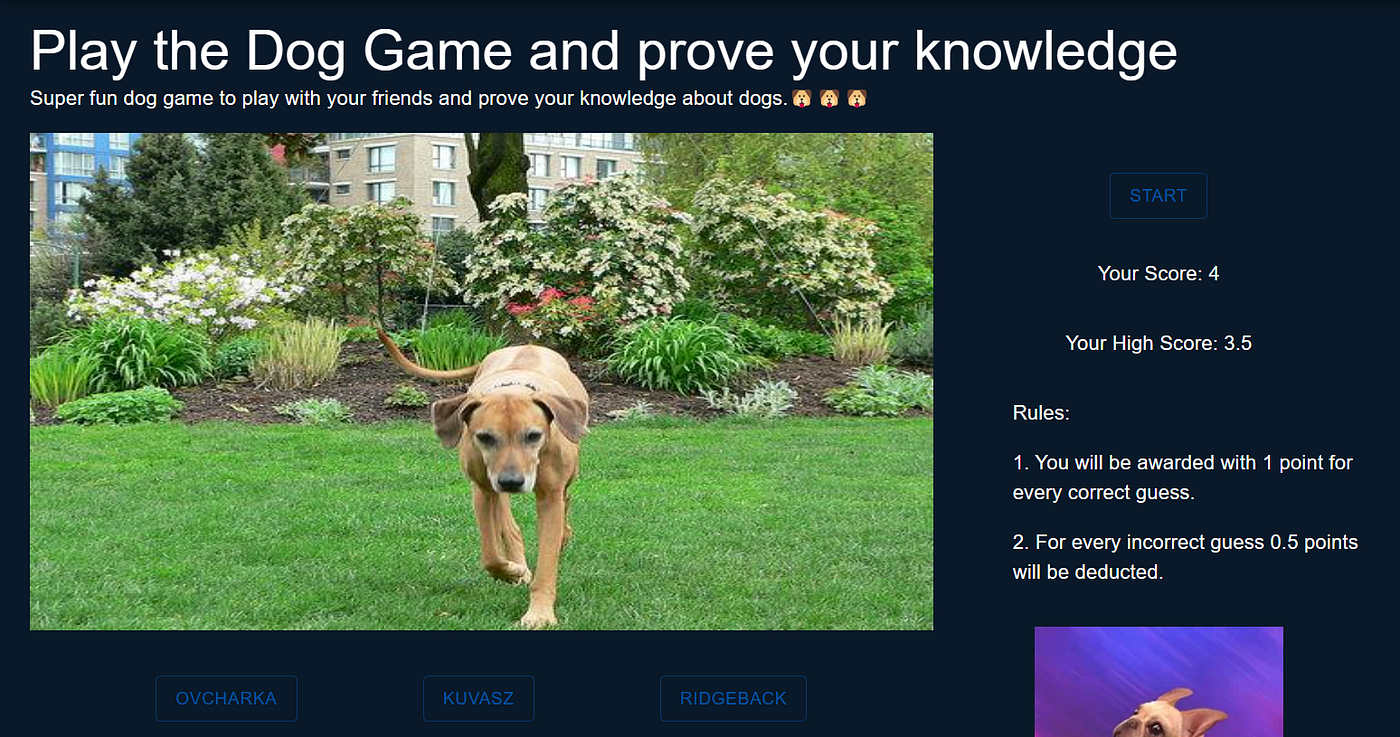 The Dog Game Explained!. Play the Dog Game here | by Shantanu Jumde | Medium