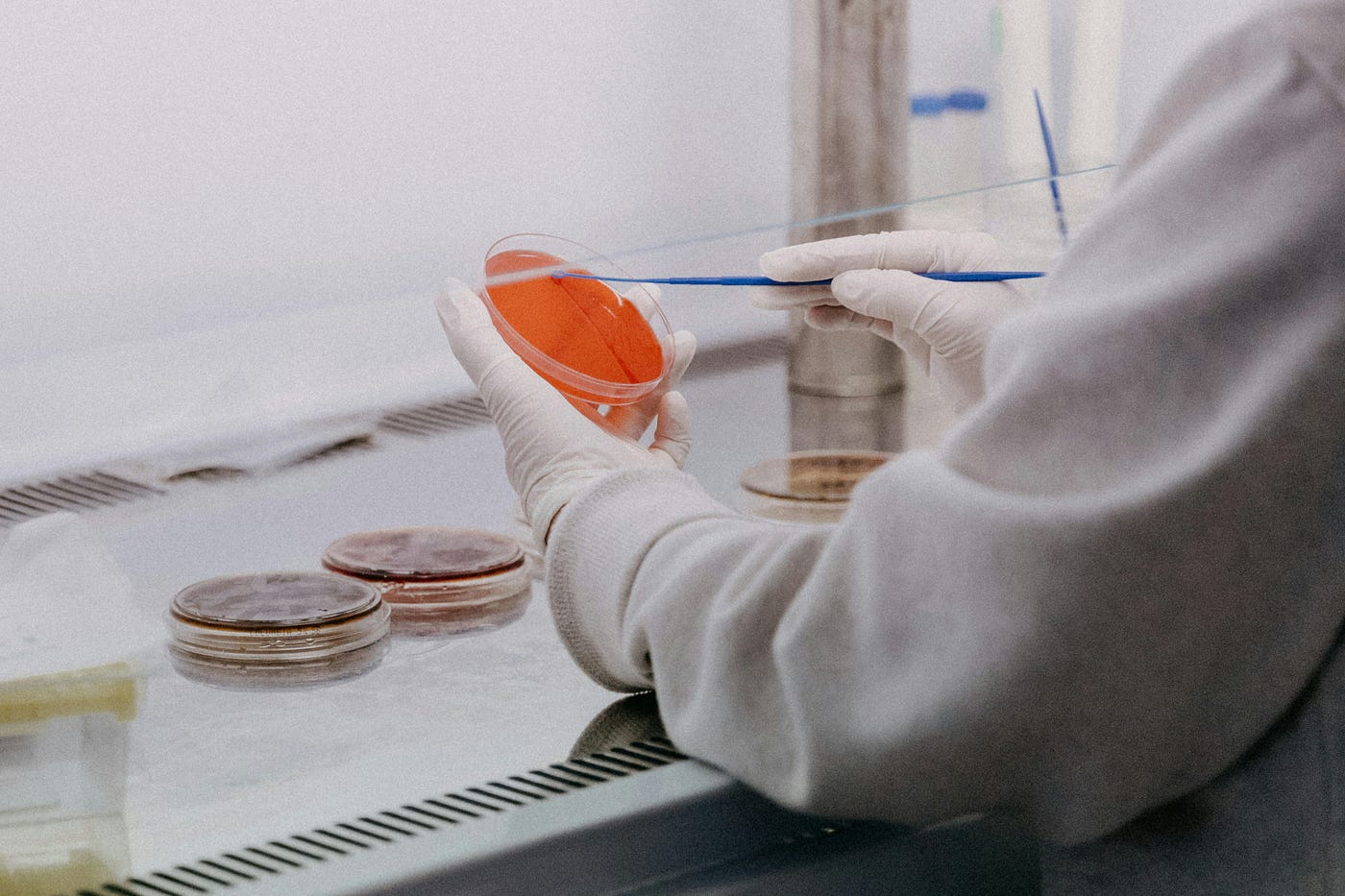 How to Make Your Lab More Sustainable: 5 Practical Changes