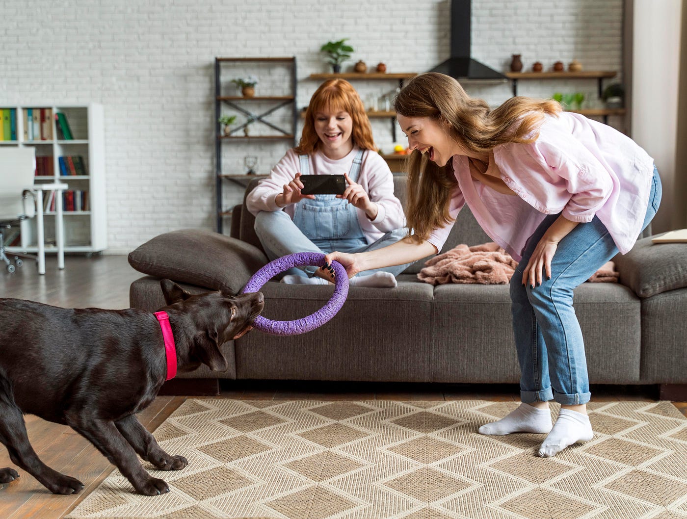 What Makes a Great Dog Daycare? Lessons from Amy Spicer Chicago