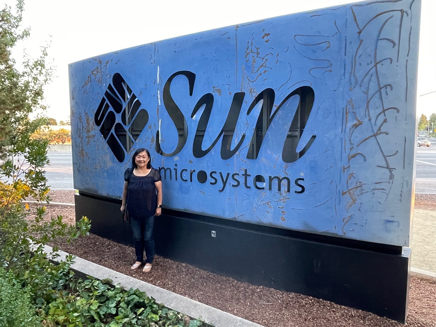 Sun Microsystems Logo