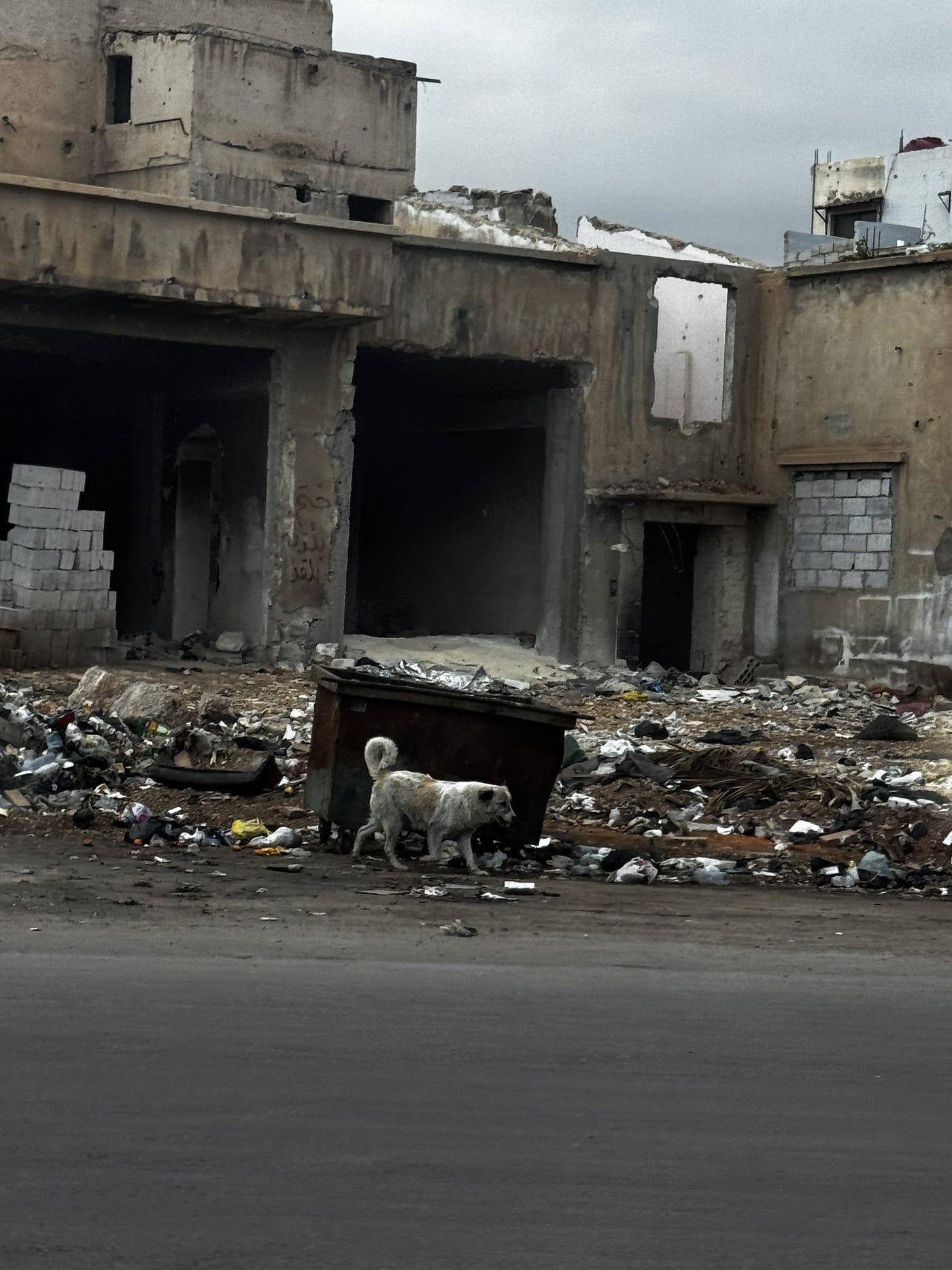 Authors Own Image (Damascus, 2025)
