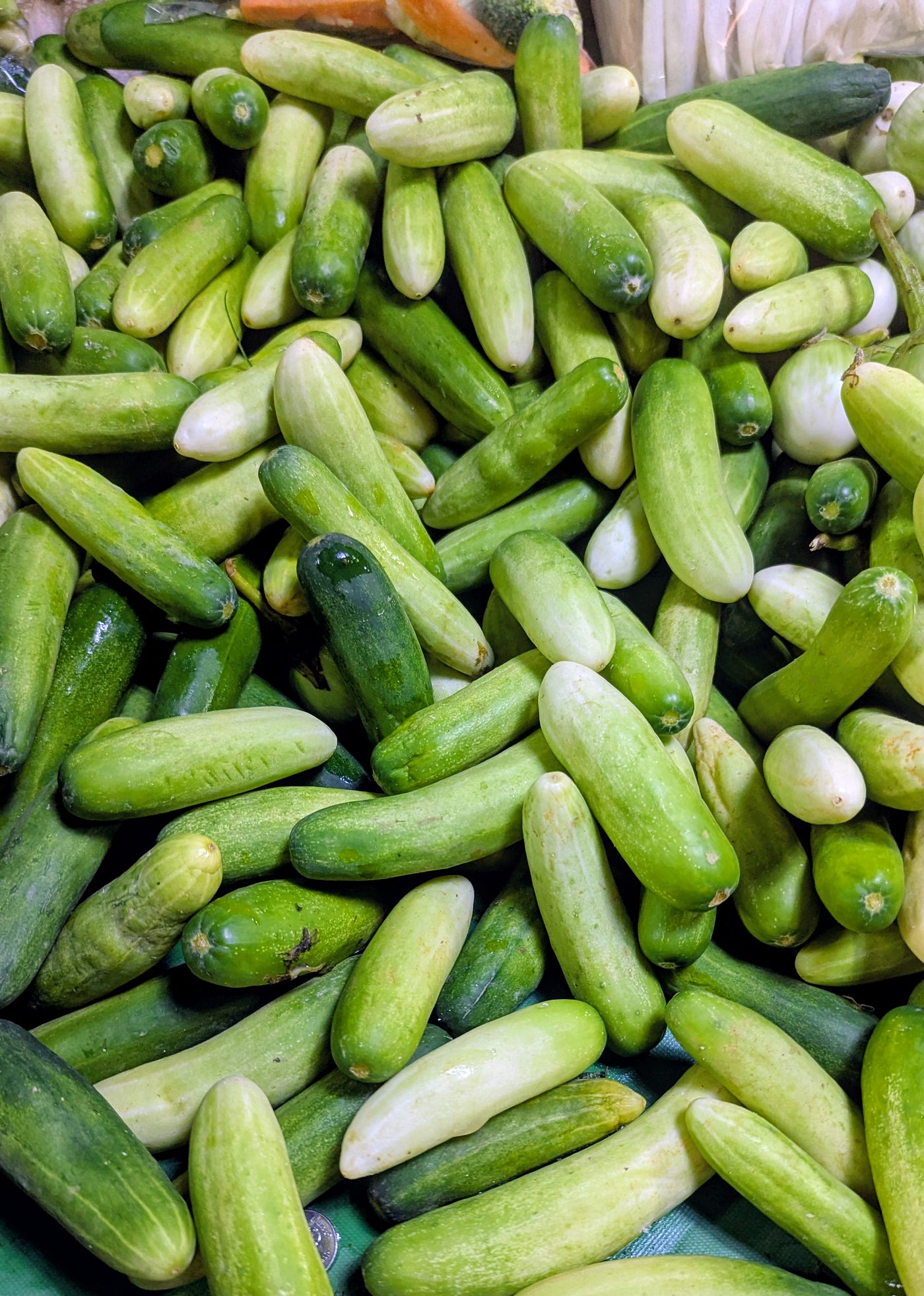 Thai cucumber, locally known as แตงกวา (taeng-gwa), is a staple ingredient in Thai cuisine.