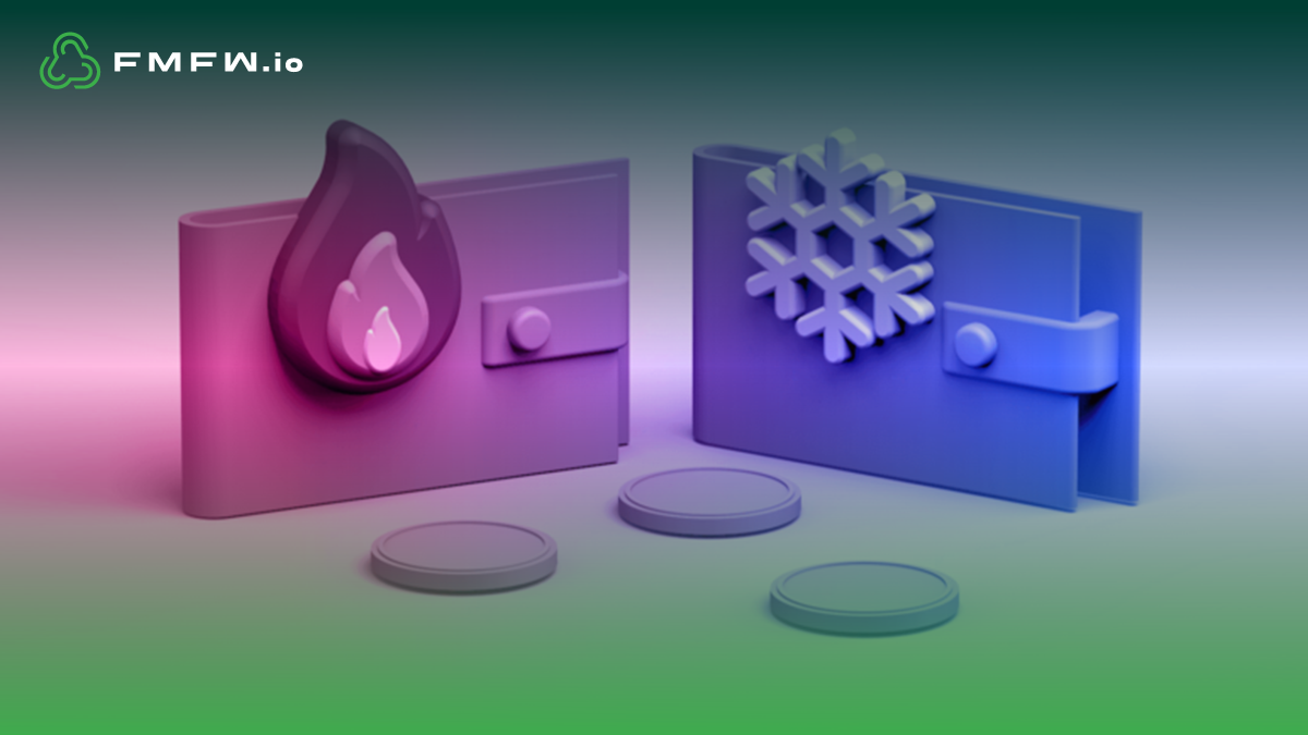 Hot Wallet vs. Cold Wallet. Explore the different crypto storage… | by  FMFW.io | Medium