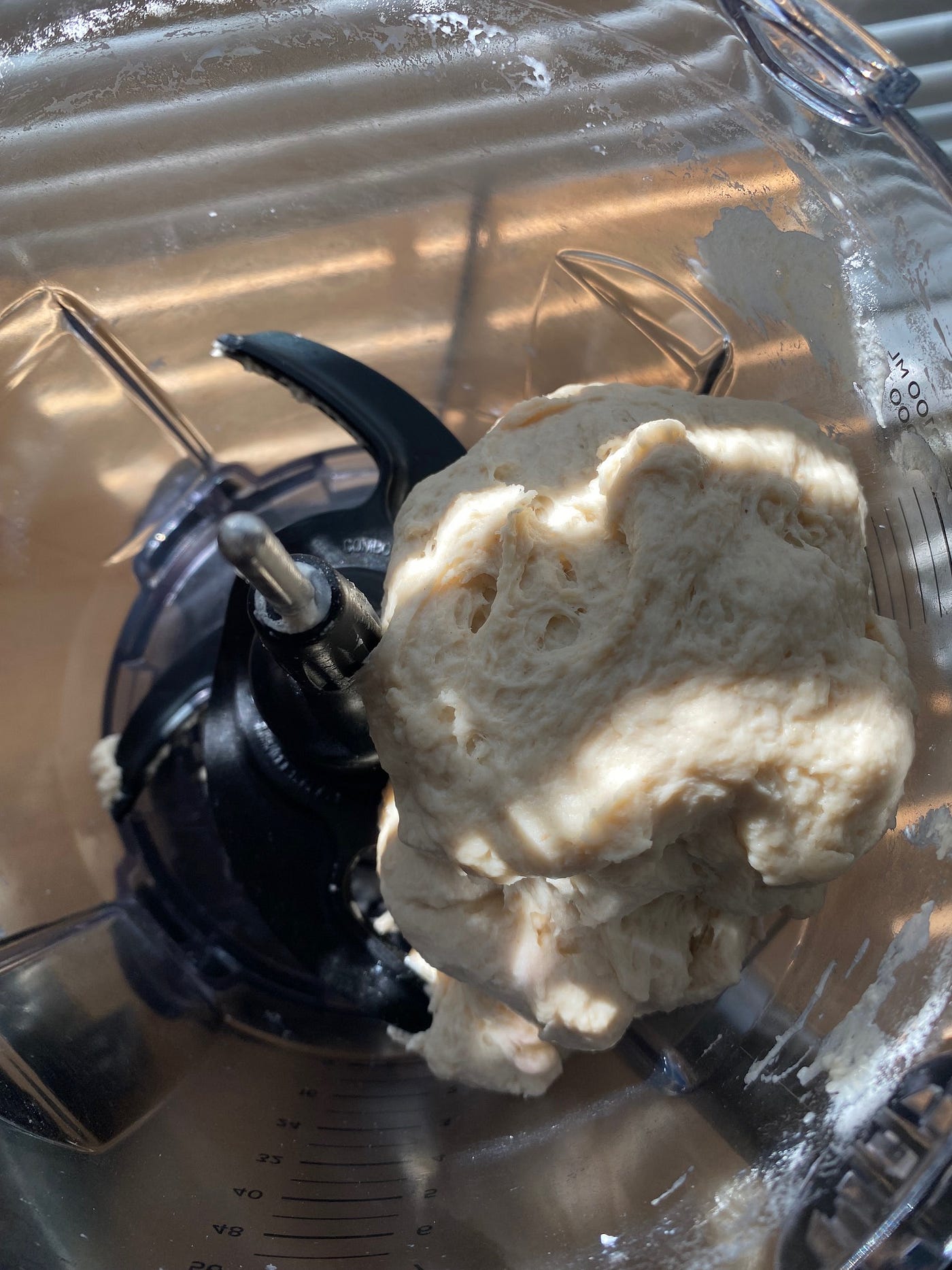 Pizza Dough Using a Food Processor