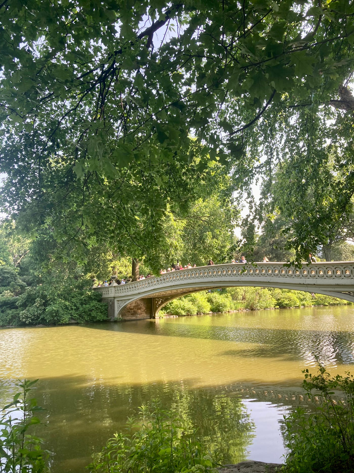 Finding a Sense of Awe in the Middle of New York City | by Jessica