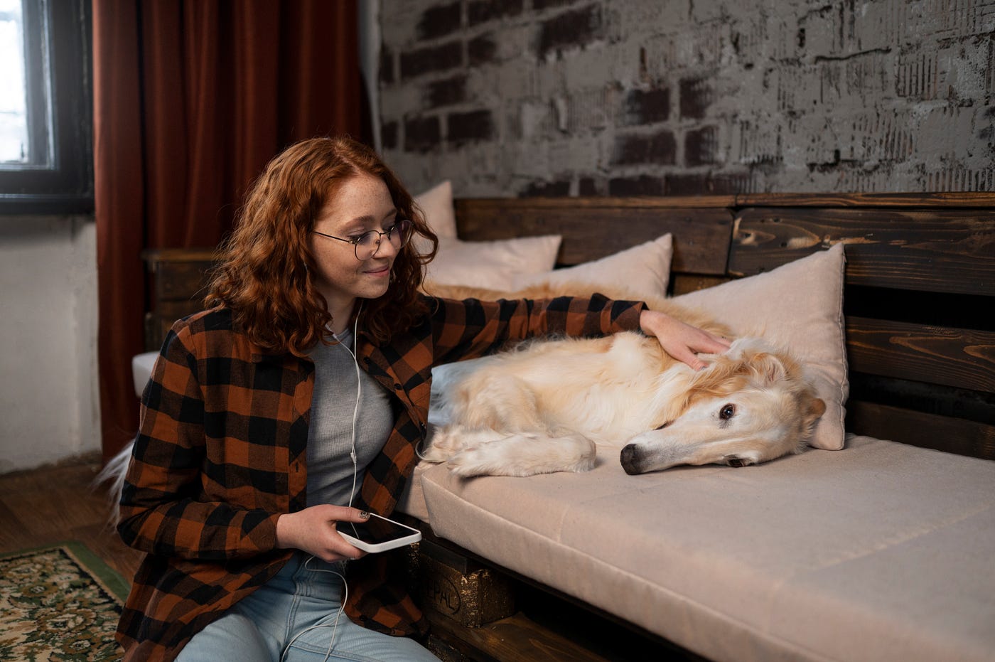 How Amy Spicer Chicago Ensures Comfort for Dogs Staying Overnight