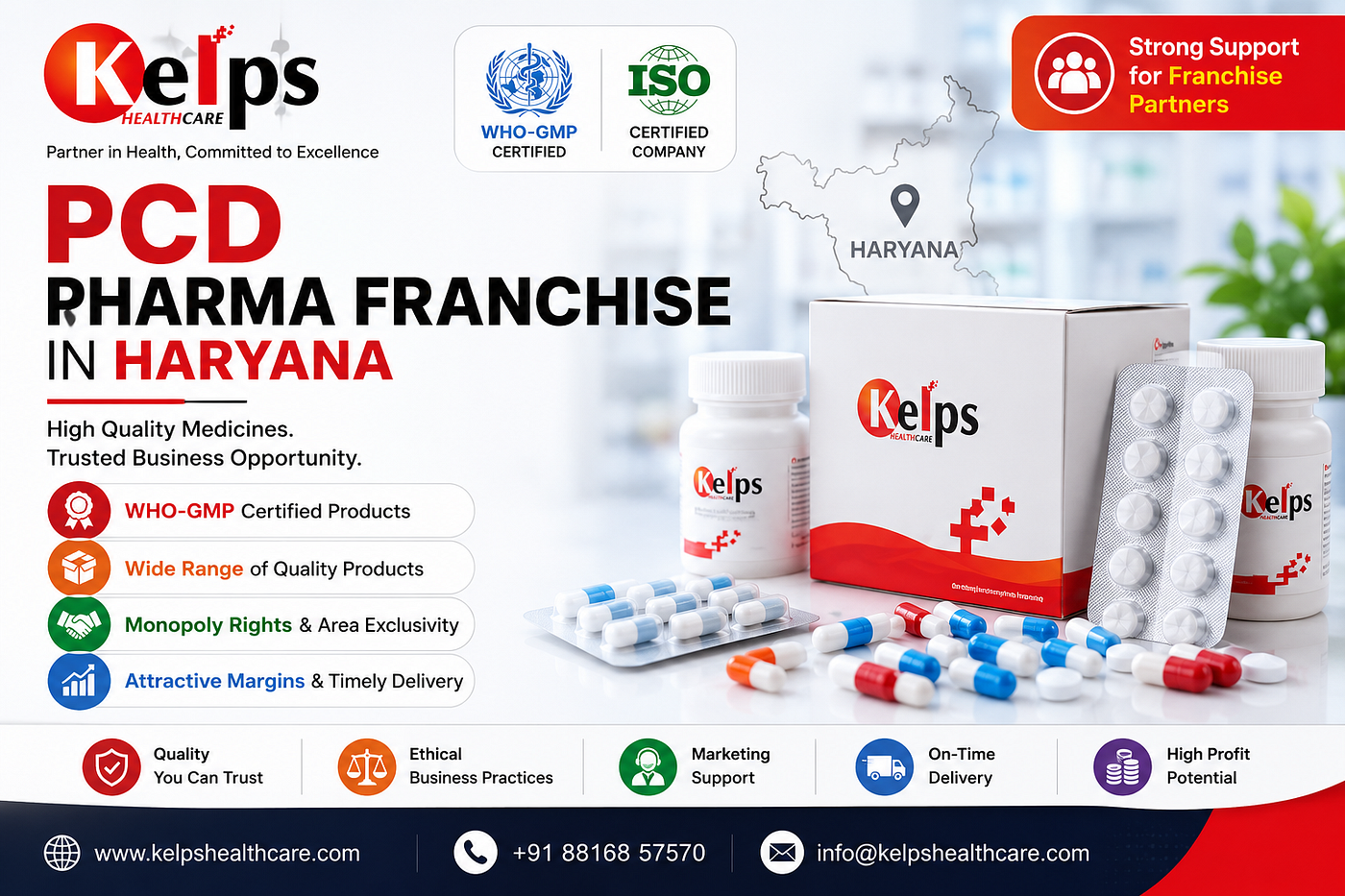 PCD Pharma Franchise in Haryana: Your Complete Guide to a Profitable Pharma Business