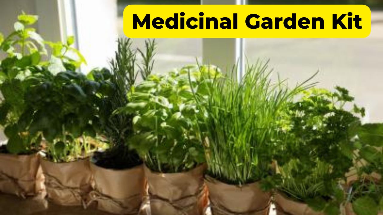 Find A Quick Way To Medicinal Garden Kit Review