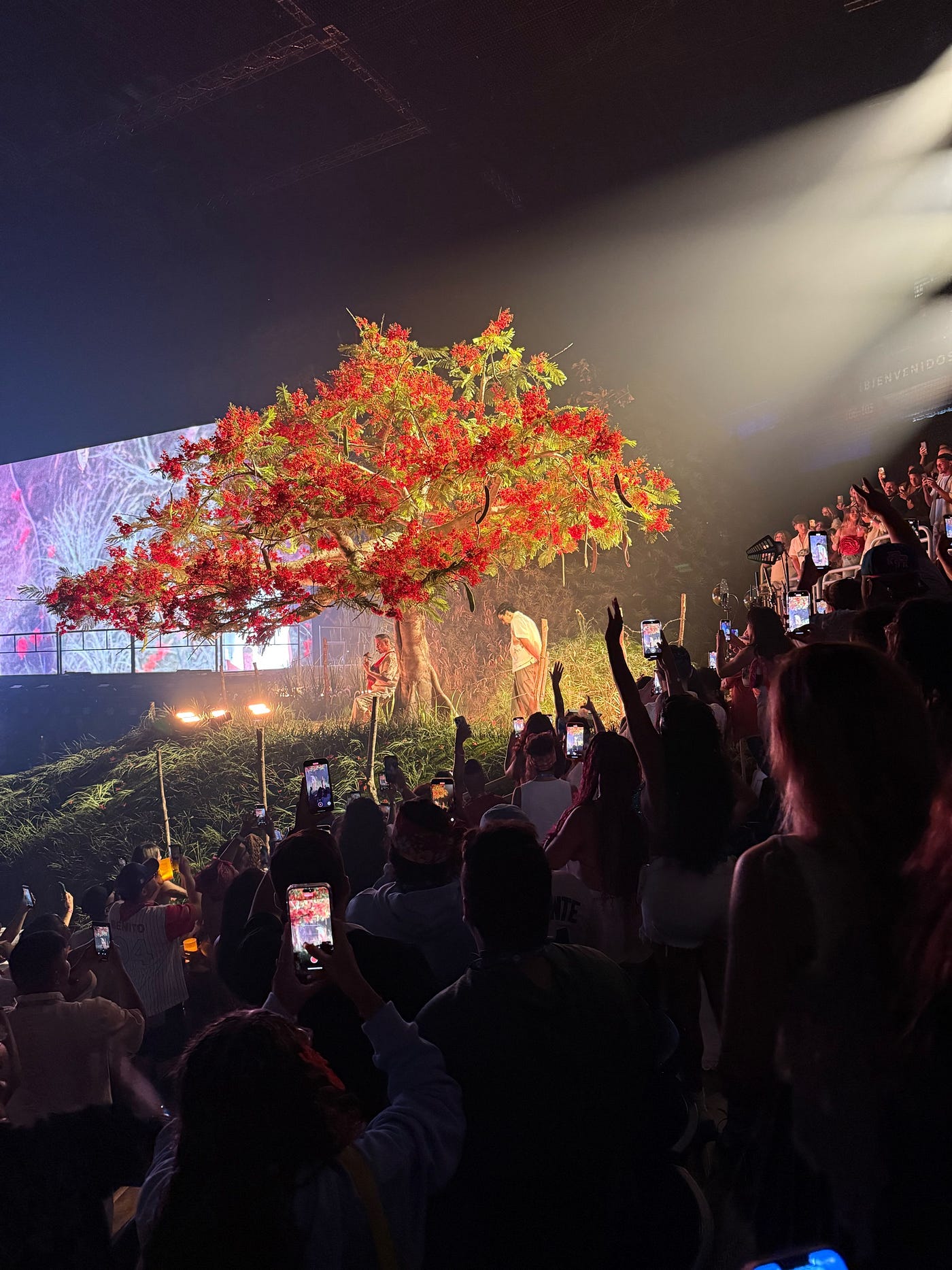 Bad Bunny & Puerto Rico A Cultural moment | by ASHLEY CARINO 🌻 | Medium