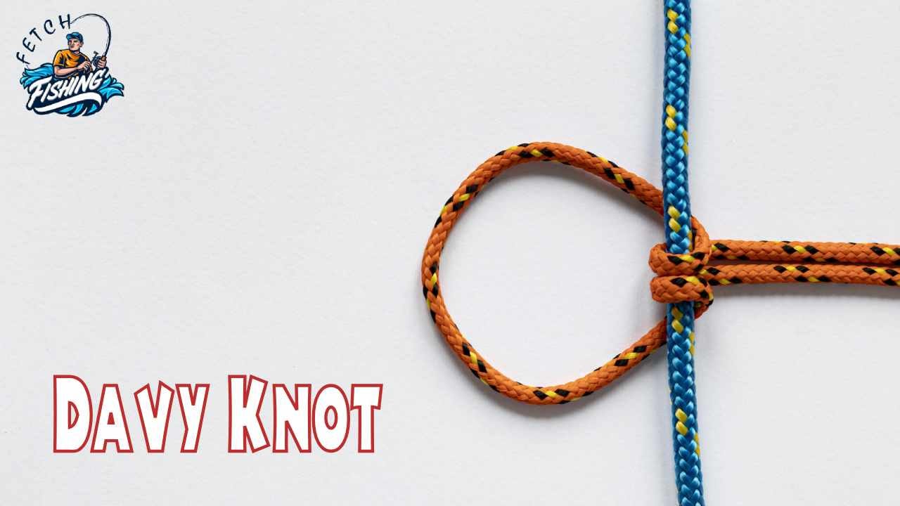 Davy knot deals